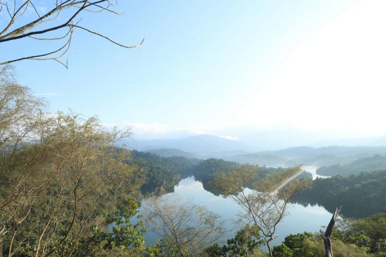 a lake in the middle of a wooded area