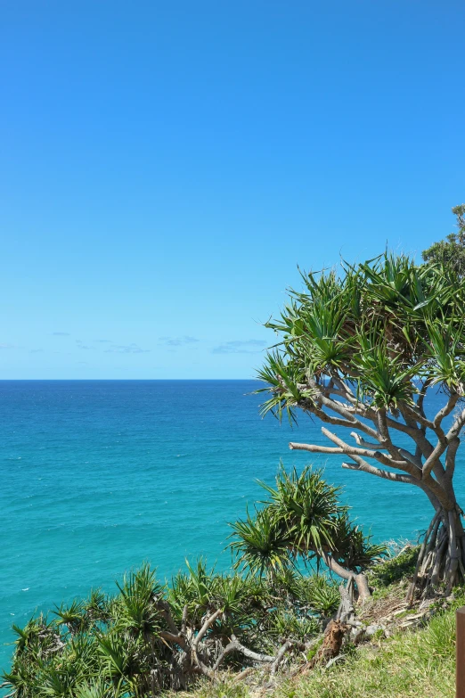 a bench on the side of a hill facing an ocean