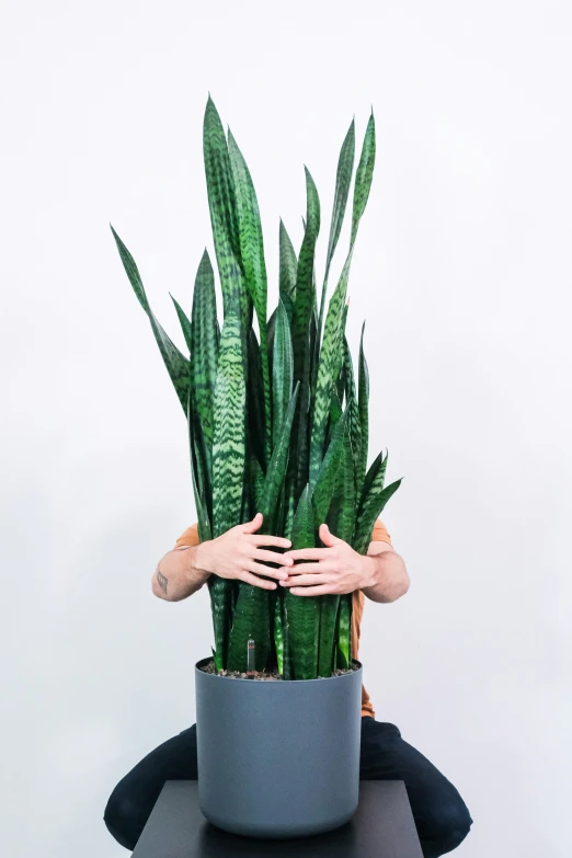 a man holding a potted plant with his hands