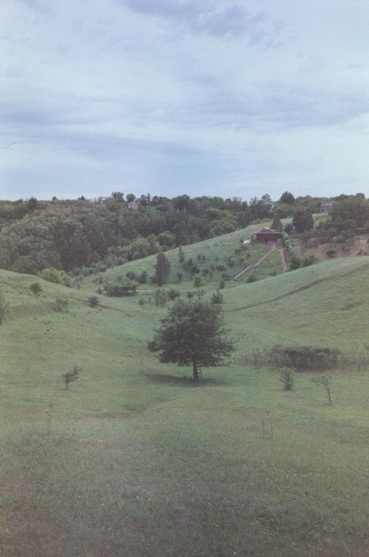 a green hilly landscape with trees on the hill and a house in the distance