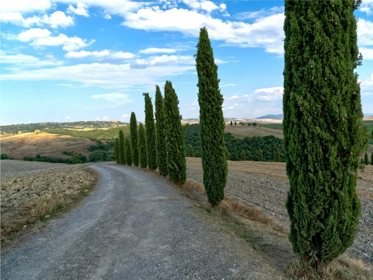 a paved road leading into an uncontaineded landscape