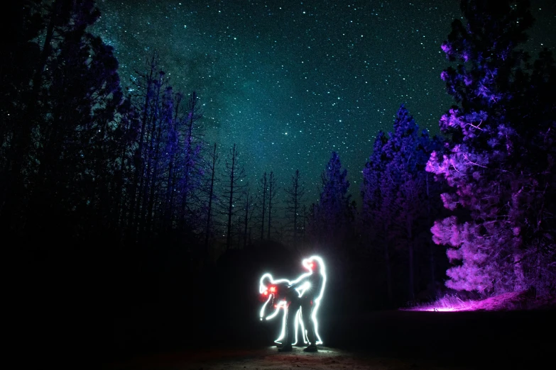 two lights being used as statues in a forest with a sky filled with stars