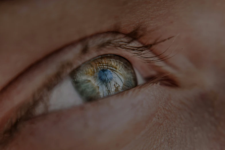 a close up s of an orange and blue eye