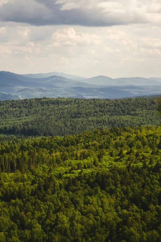 a lush forest surrounded by mountains under clouds