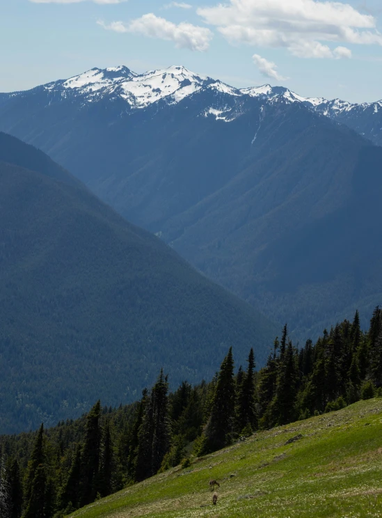 a large mountain with a herd of sheep grazing on it