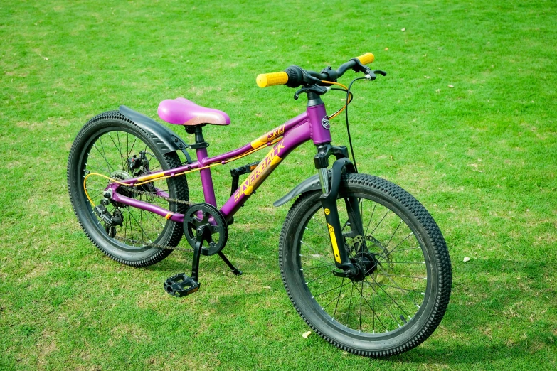 a very pretty purple and yellow bike in the grass