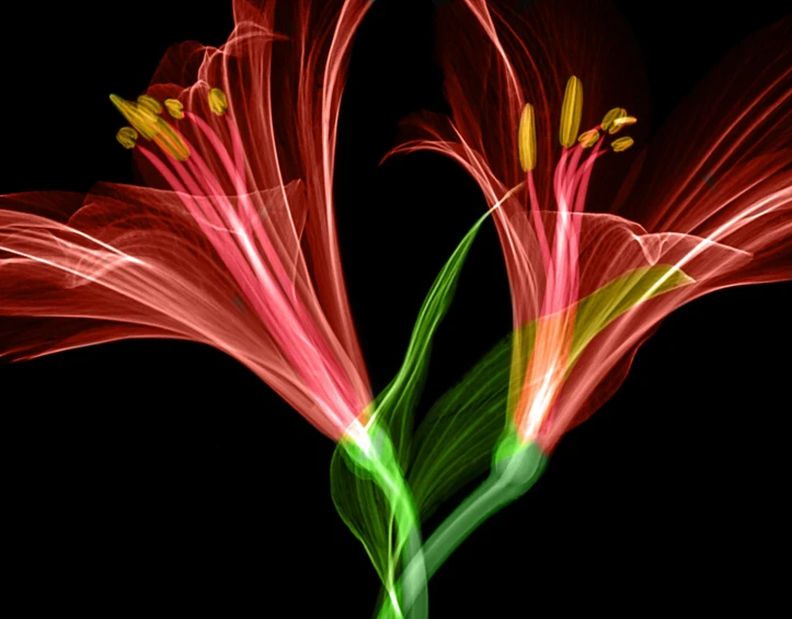 abstract pograph with red and green colors and long exposure