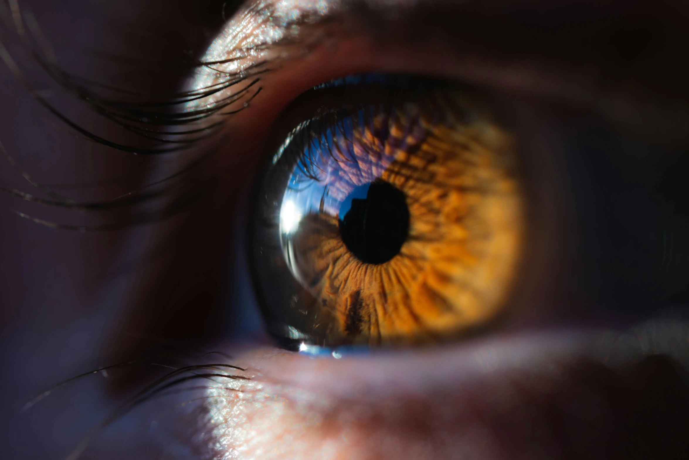 close up view of an eyeball and iris