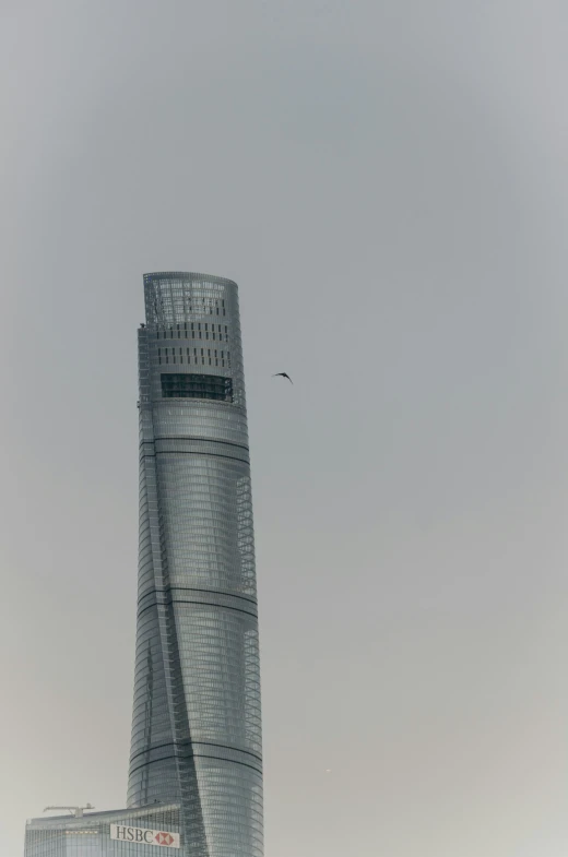 a bird is flying in front of the building