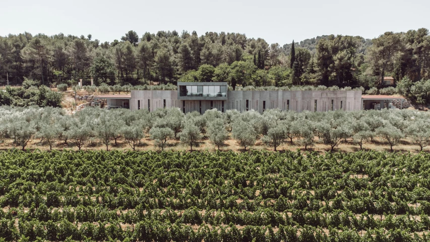 a building with lots of trees in front of it