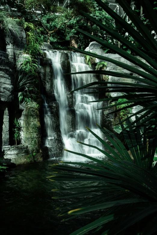 a po of a waterfall in the middle of a forest