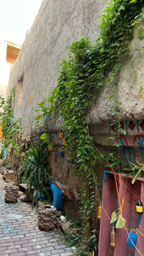 plants growing up against a brick wall with writing on it