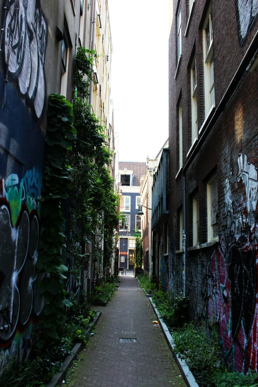 a long brick walkway is surrounded by buildings with graffiti