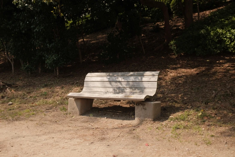 a bench near a trail with trees in the background