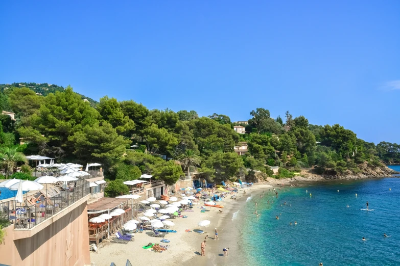 a beach with lots of trees and people near it