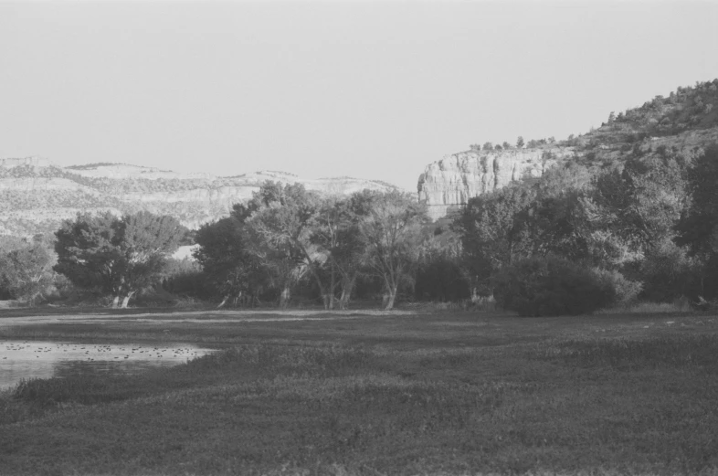 black and white pograph of landscape and water