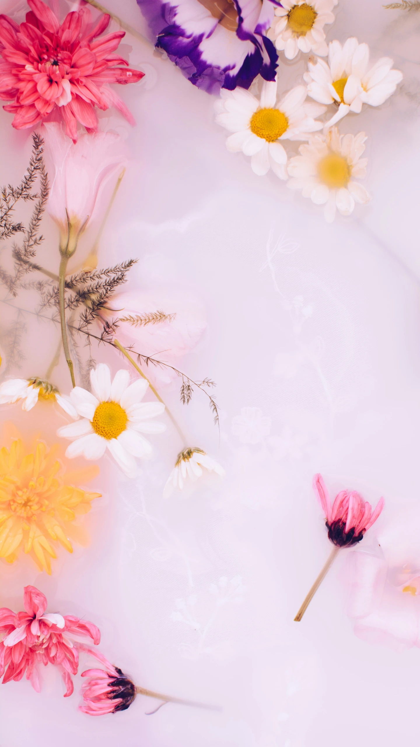 various flowers lying together in a glass