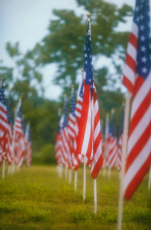 a grassy field has several american flags