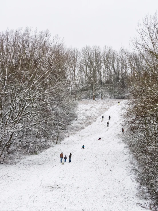 people are walking down the path of a snow covered trail