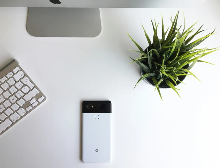 an ipod next to a keyboard and flower plant