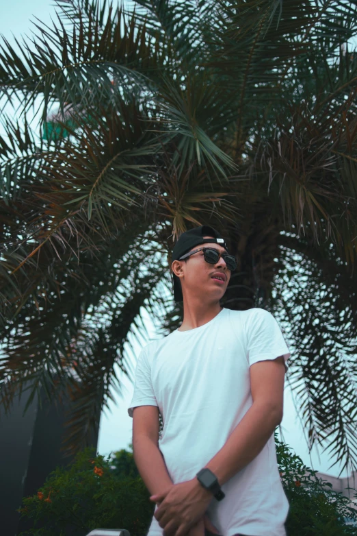 a man in sunglasses leaning against a palm tree