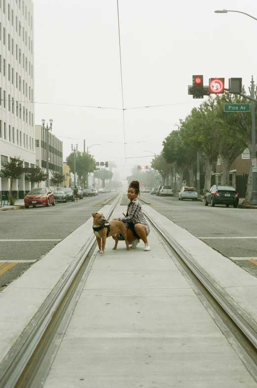 a person sitting on a train track with two dogs