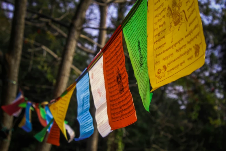 a flag shaped decoration on a string outside