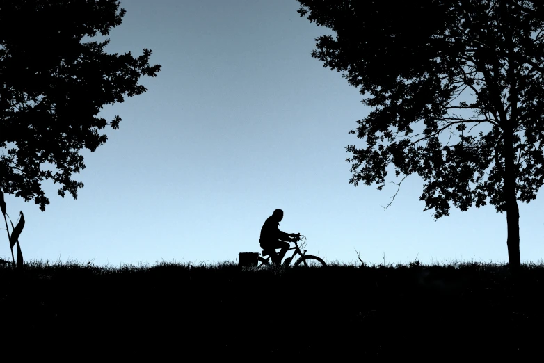 a person riding a bicycle by some trees