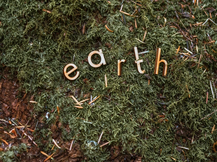 the word earth spelled on mossy ground