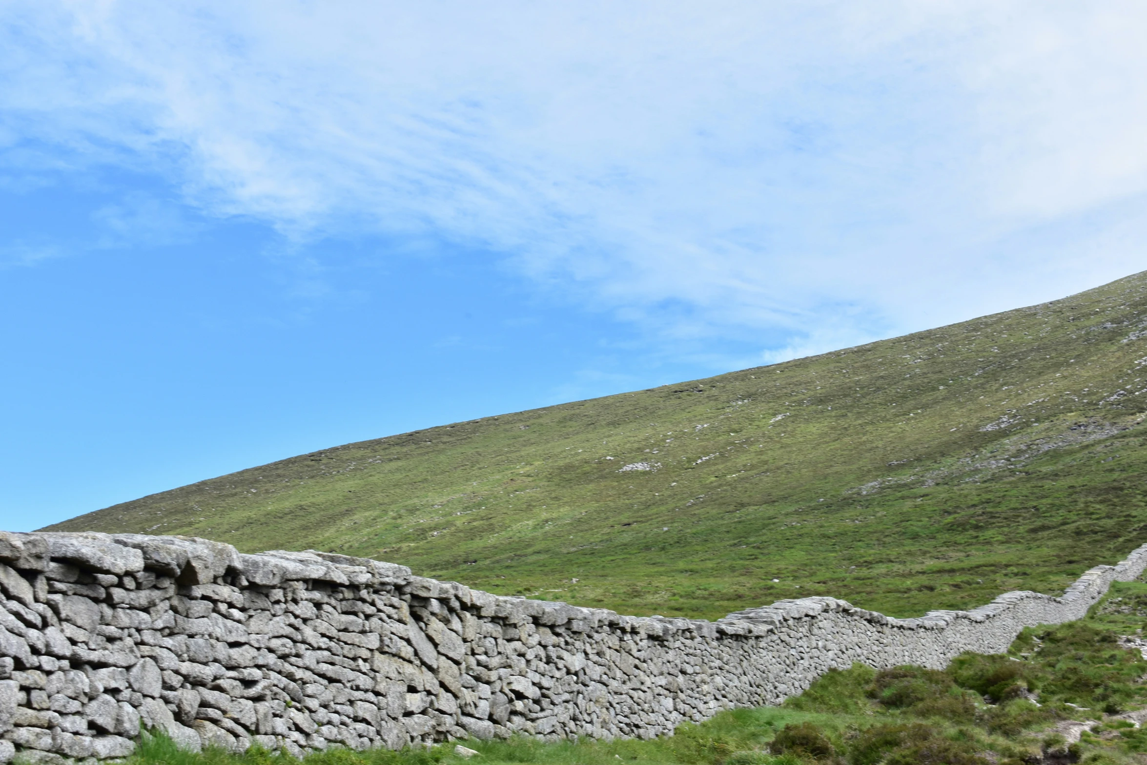 a lone sheep walking on the side of a stone wall