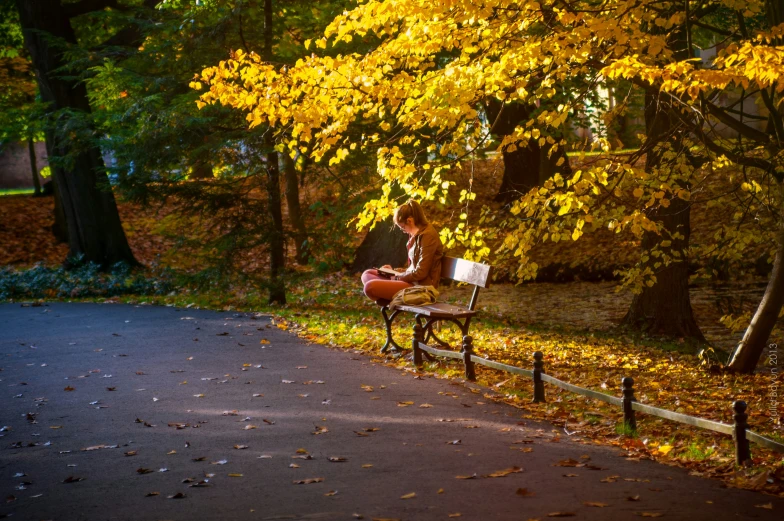 a woman sitting on a bench in the fall leaves