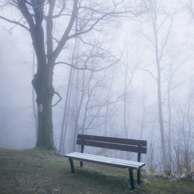 a park bench in the middle of a foggy area