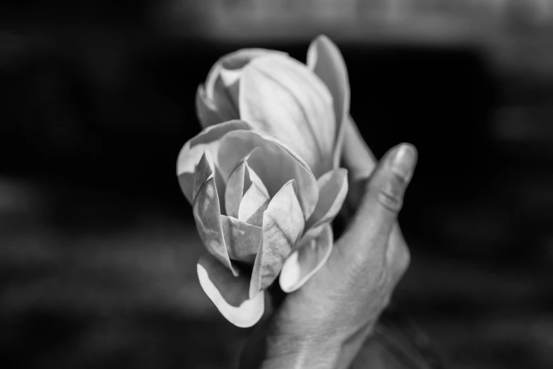 the hand is holding a large flower in it's left hand