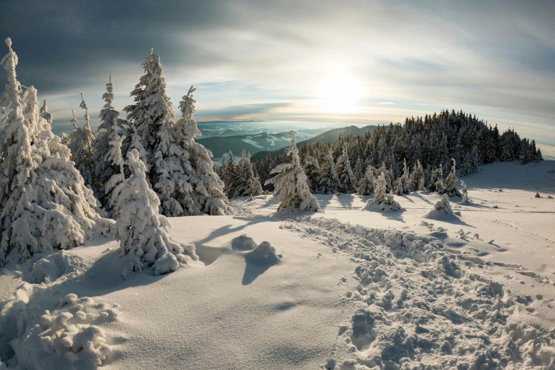 a lone skier is seen in the sun on the snow