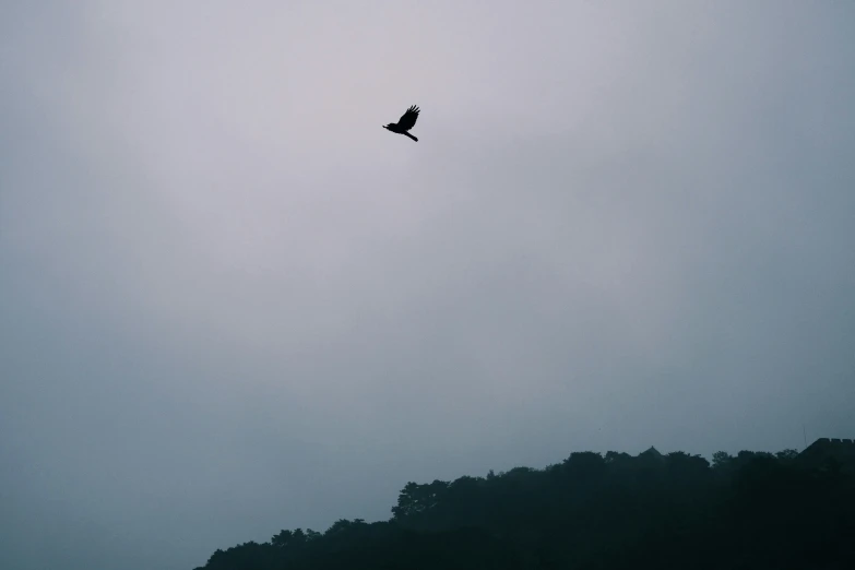 an image of an airplane flying in the sky