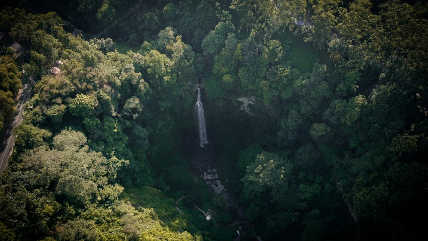 a tree - lined area shows the side of a mountain and below a waterfall