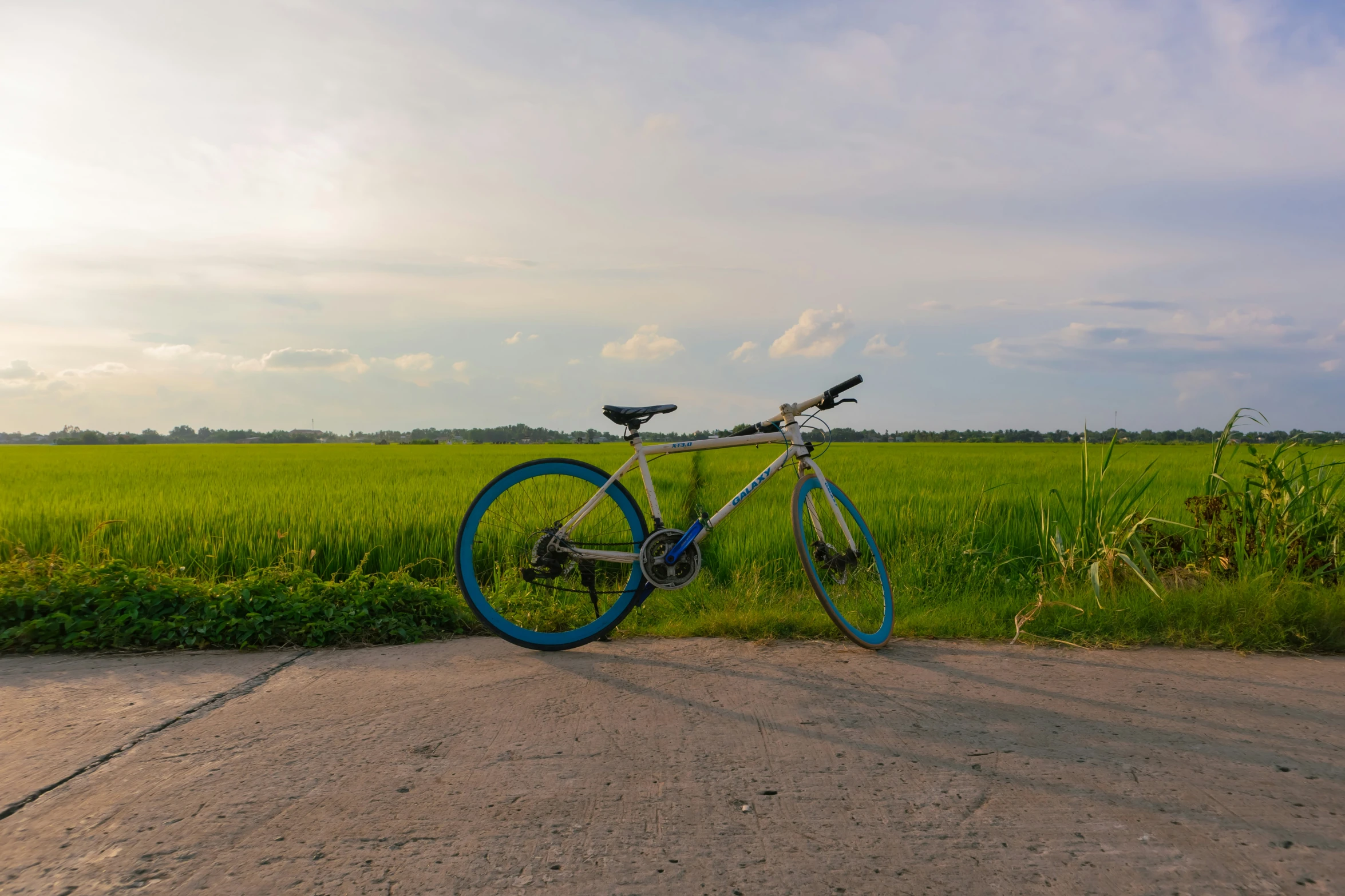 a bicycle parked near a green field on a sunny day