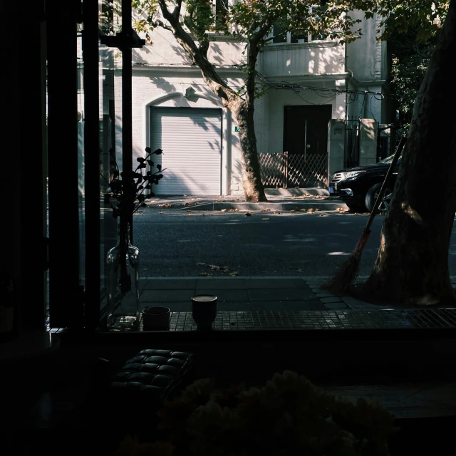 the view out a window of a tree, with cars parked outside