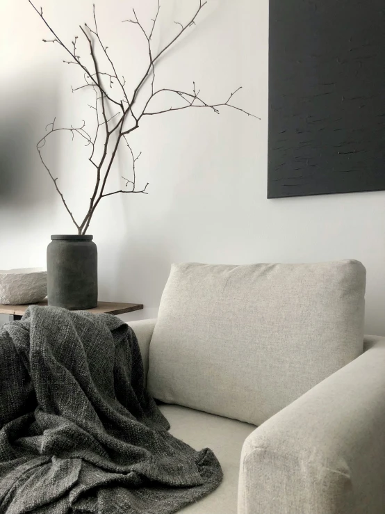 a living room with a gray couch, and bare tree