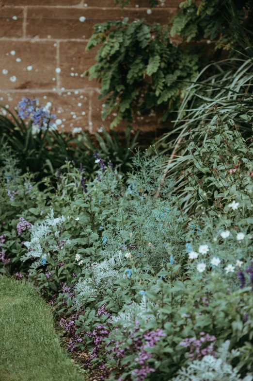 an area full of flowers near a brick wall