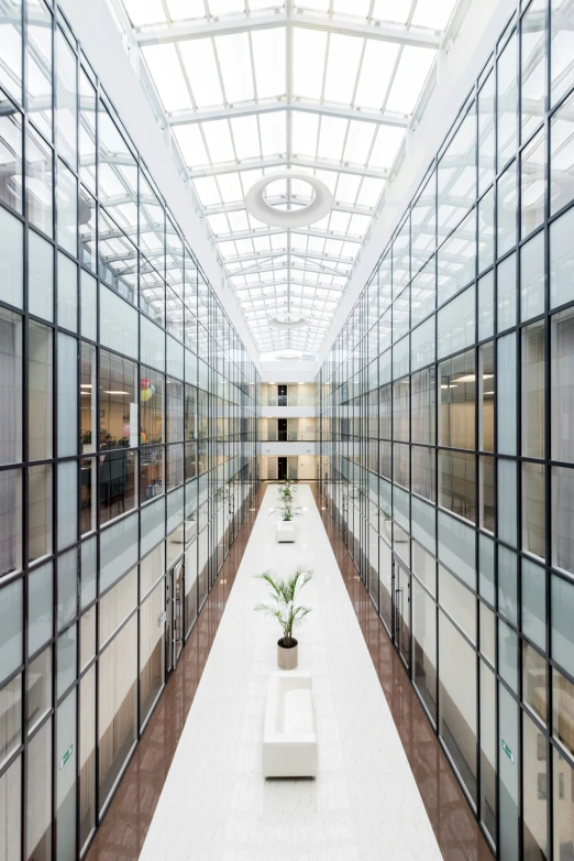 an empty glass walled building with a bench and plant