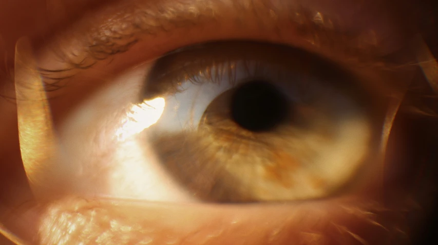 an orange colored eye showing very large details