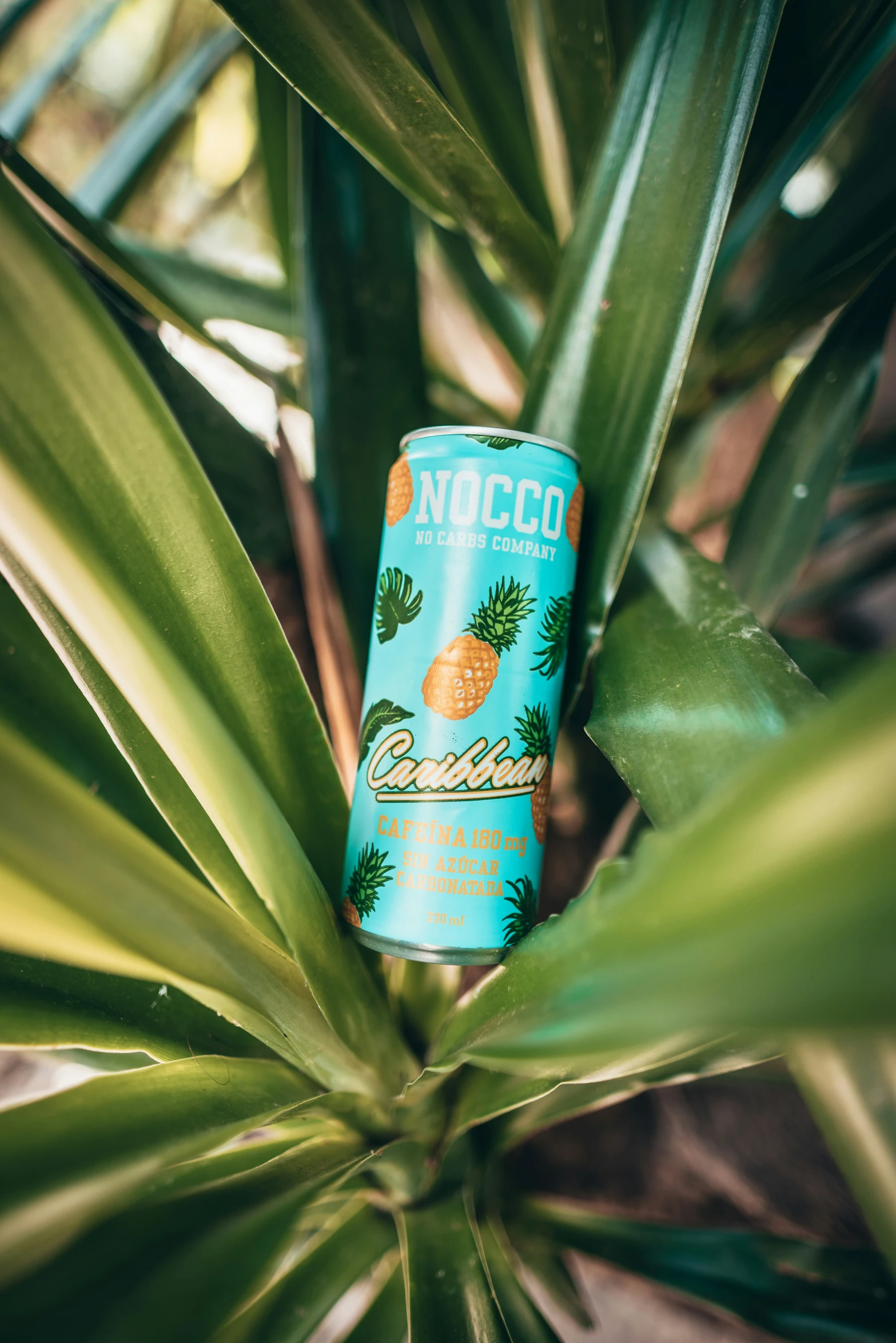 the can of coconut water is on top of the green plant