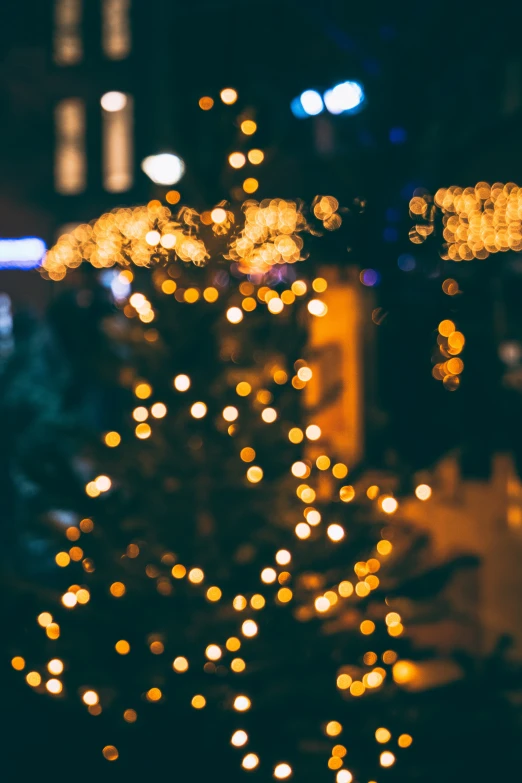 the lights of an outdoor christmas tree are blurred