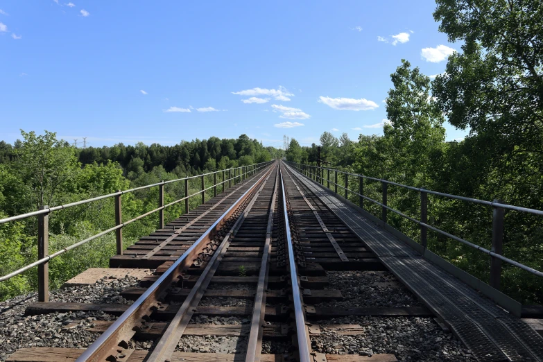 a railroad line going through the woods on a sunny day