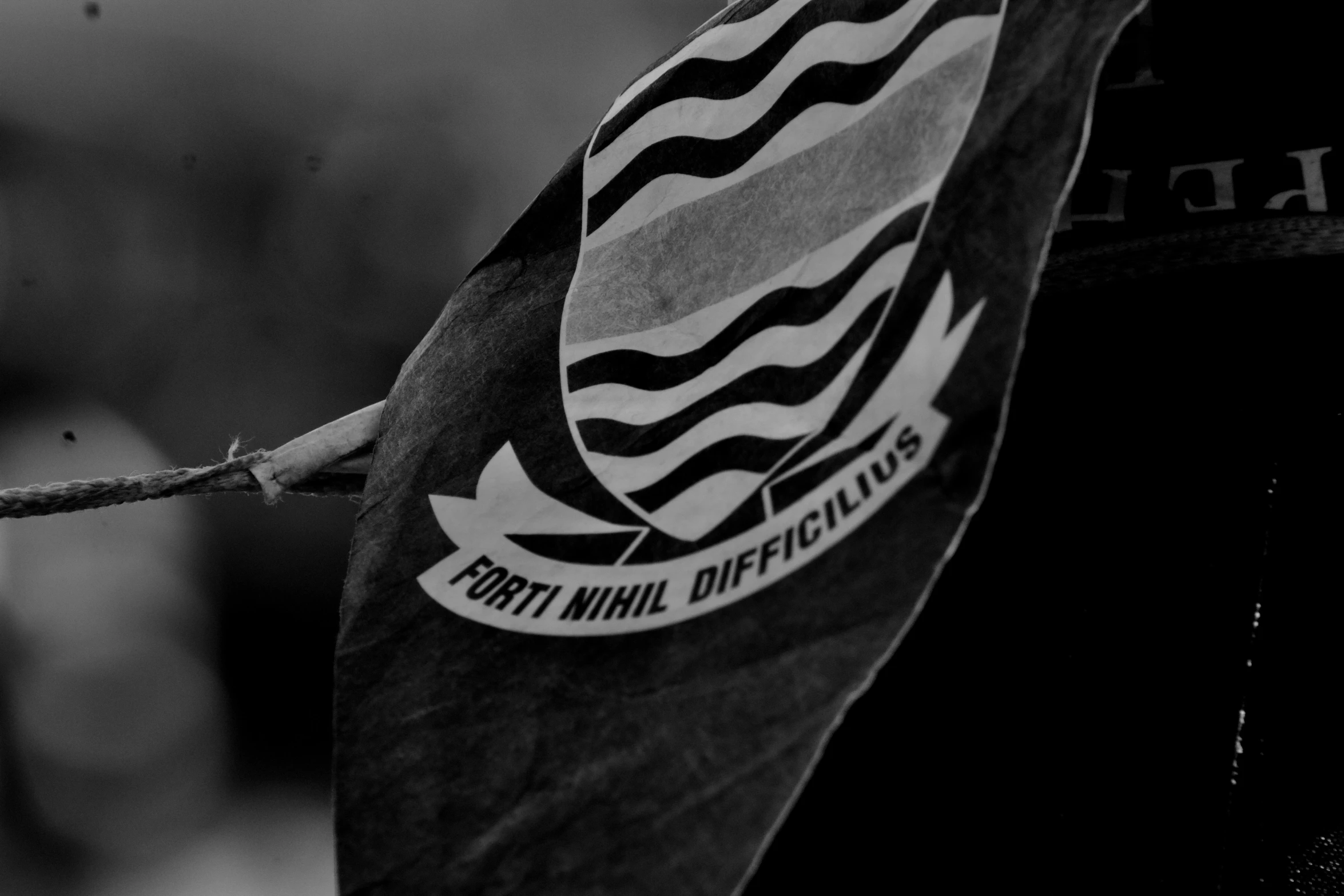 the emblem on a flag hangs close to a tree nch