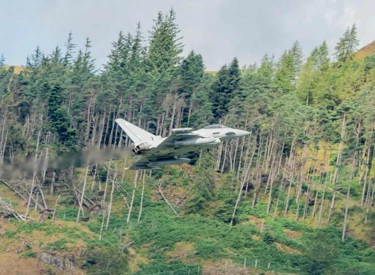 a jet flying low over some tall trees