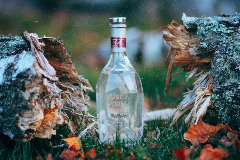 an empty bottle sitting in the grass