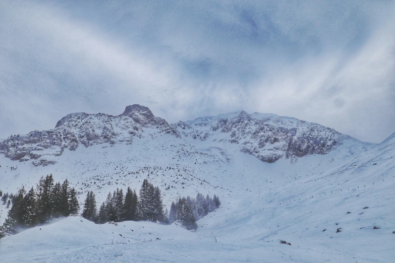 the ski slope is covered with snow and the mountain has several evergreens