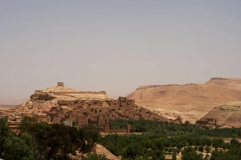 two brown adobe homes in the desert near trees